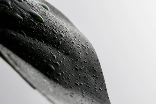 What Low-Temperature Extraction Actually Changes